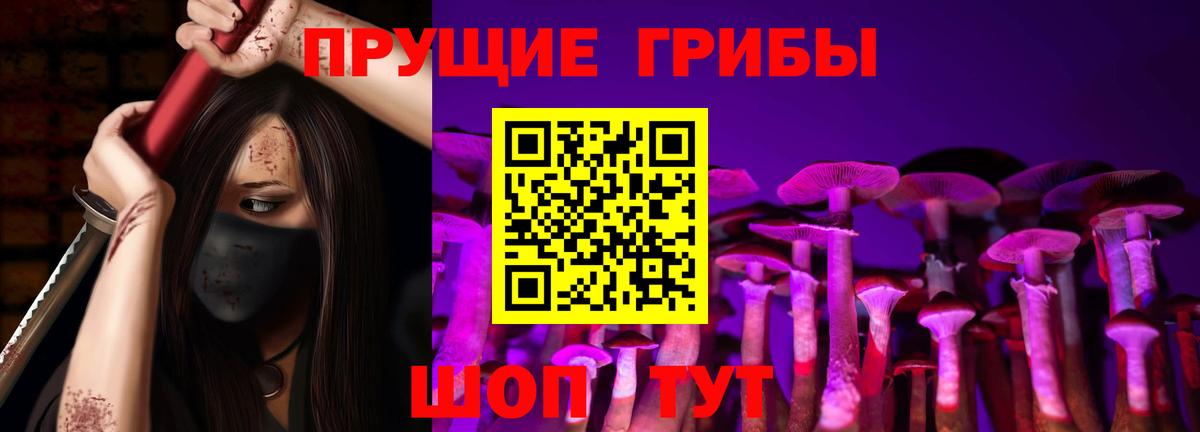 Балтийск  Галлюциногенные грибы Cubensis  закладка  Вход с VPN  Галлюциногенные грибы GOLDEN TEACHER 